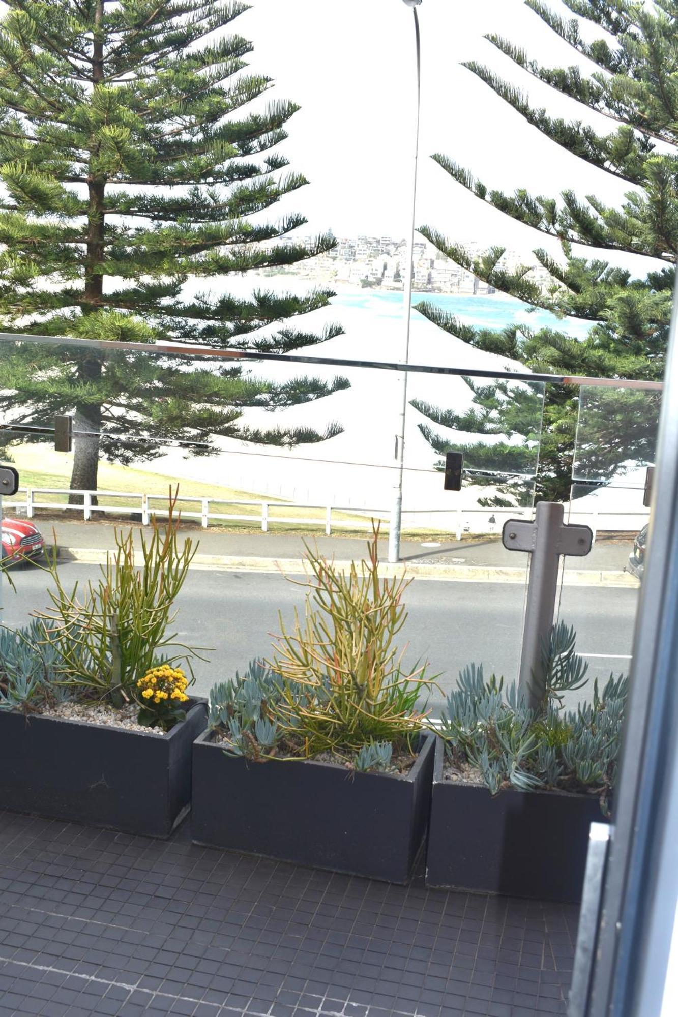 Bondi 38 Serviced Apartments Sydney Exterior photo